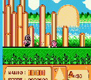 Warioland II
