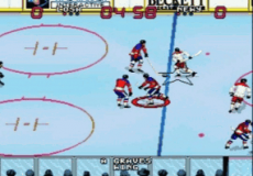 Wayne Gretzsky NHLPA All Stars