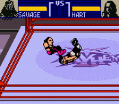 Игра WCW Mayhem