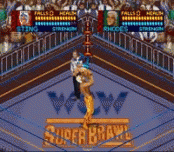 WCW SuperBrawl Wrestling