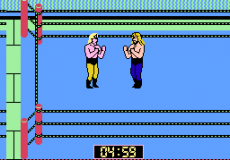 WCW World Championship Wrestling