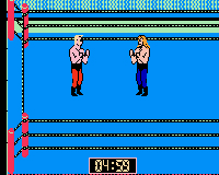 WCW Wrestling