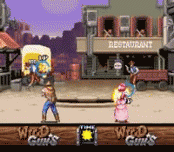 Wild Guns