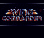 Wing Commander (video game)