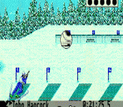 Winter Olympic Games