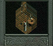 Wizard of the Immortal