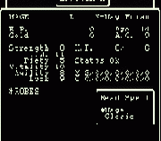 Wizardry II