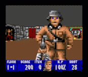 Игра Wolfenstein 3D