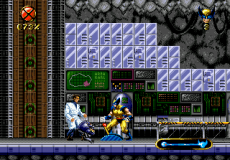 Wolverine: Adamantium Rage