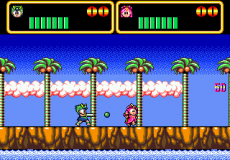Wonder Boy III: Monster Lair