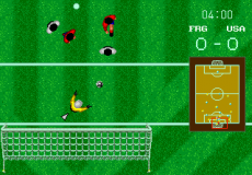 World Cup Soccer