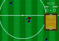 World Cup Soccer