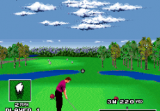 Игра World Masters Golf