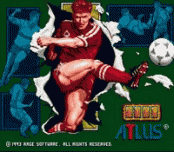 World Soccer '94: Road to Glory