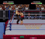 WWF Raw