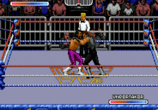 WWF Royal Rumble