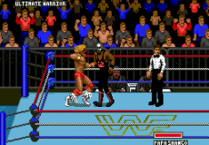 WWF Super WrestleMania