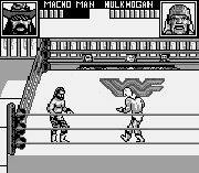 Игра WWF Superstars 2