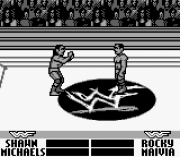 Игра WWF Warzone