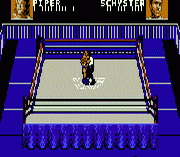 WWF Wrestlemania Steel Cage Challenge