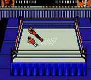 WWF Wrestlemania Steel Cage