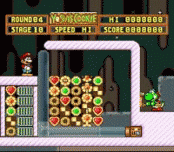 Yoshi's Cookie
