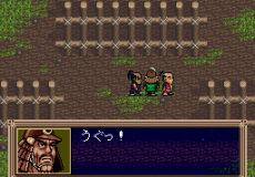 Yume Maboroshi no Gotoku