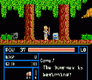 Zombie Hunter (english translation)