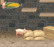 Charlotte’s Web