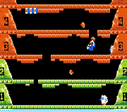 Classic NES Series – Ice Climber