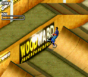 Dave Mirra Freestyle BMX 2