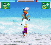 Dragon Ball Z – Bukuu Tougeki