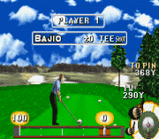Игра ESPN Final Round Golf