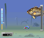 ESPN Great Outdoor Games – Bass 2002