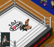Final Fire Pro Wrestling (english translation)