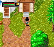 Dragon Ball Z – The Legacy of Goku II