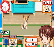 Kawaii Pet Game Gallery