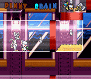 Pinky and the Brain – The Masterplan