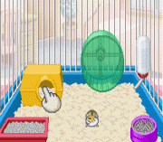 Hamster Club 3