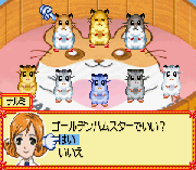 Hamster Paradise – Pure Heart
