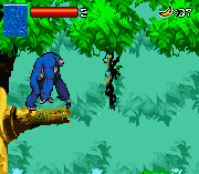 Kong – The Animated Series