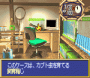 Minna no Shiiku Series 1 – Boku no Kabutomushi