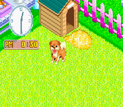 Nakayoshi Pet Advance Series 2 – Kawaii Koinu