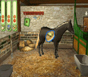 Игра Paard & Pony – Paard in Galop