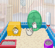 Petz – Hamsterz Life 2