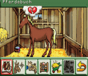 Pferd & Pony 2 in 1