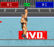 Игра Shin Nihon Pro Wrestling – Toukon Retsuden Advance