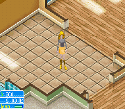 Игра The Sims 2 – Pets