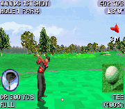 Tiger Woods PGA Tour 2004