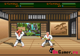 Budokan: The Martial Spirit